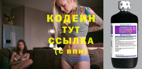 гашик Киренск