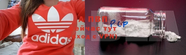 гашик Киренск